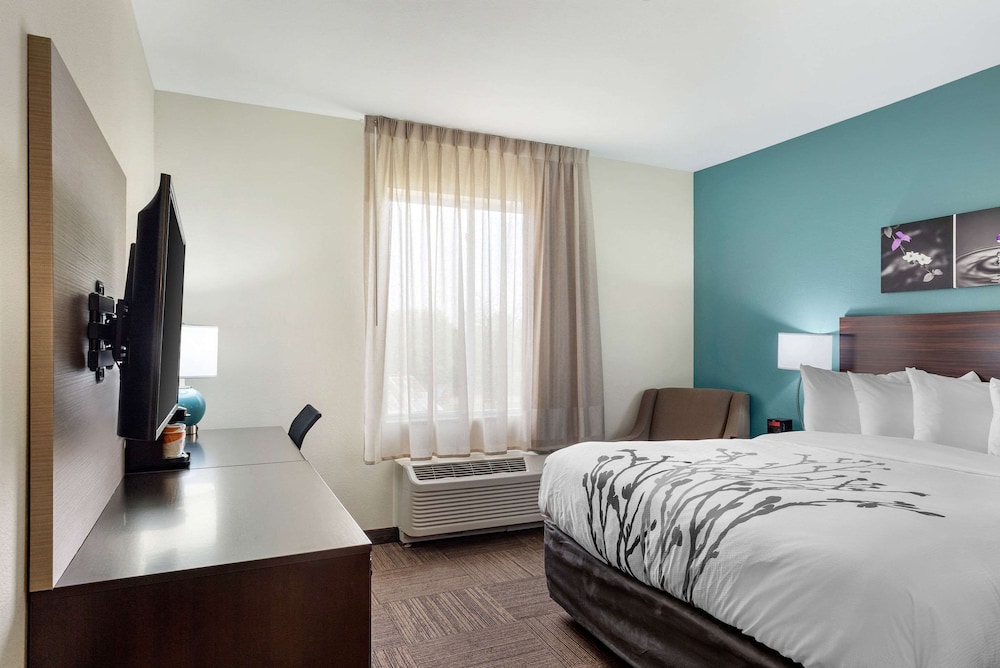 Standard Room, 1 King Bed, Non Smoking - Photo 4