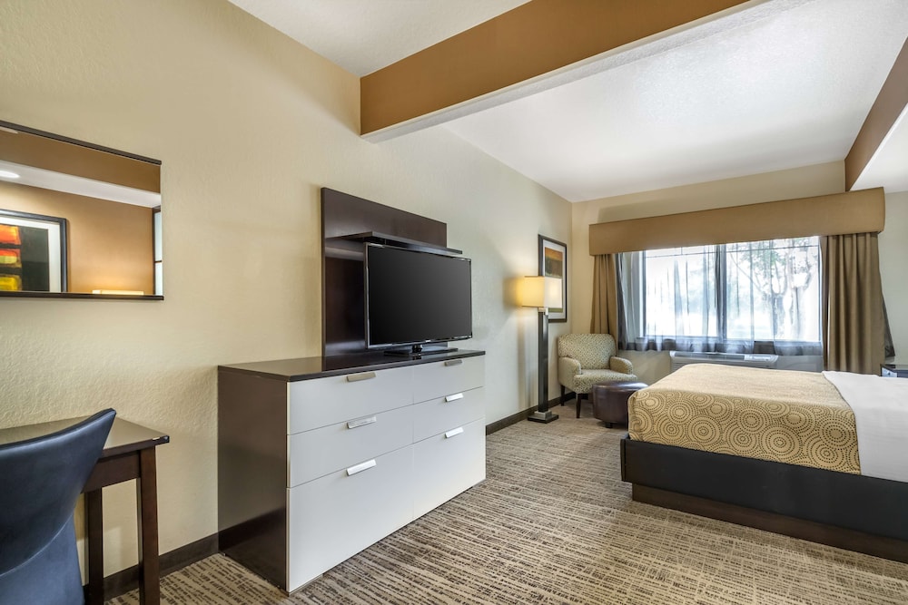 Suite, 1 King Bed, Non Smoking, Refrigerator & Microwave (Walk-in Shower;with Sofabed) - Photo 3