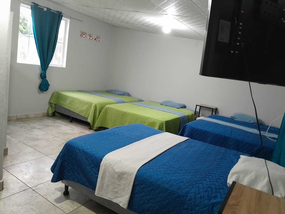 Basic Quadruple Room, Multiple Beds photo 2