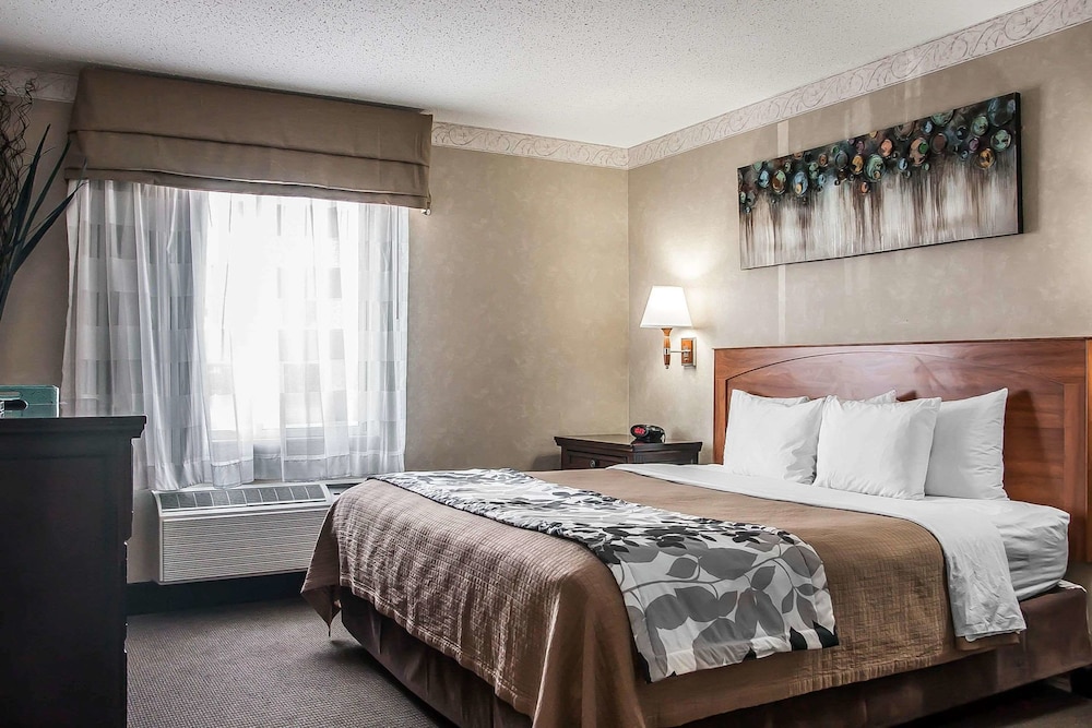 Suite, 1 King Bed, Non Smoking