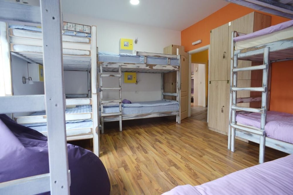 Bed in 8-Bed Female Dormitory photo 3