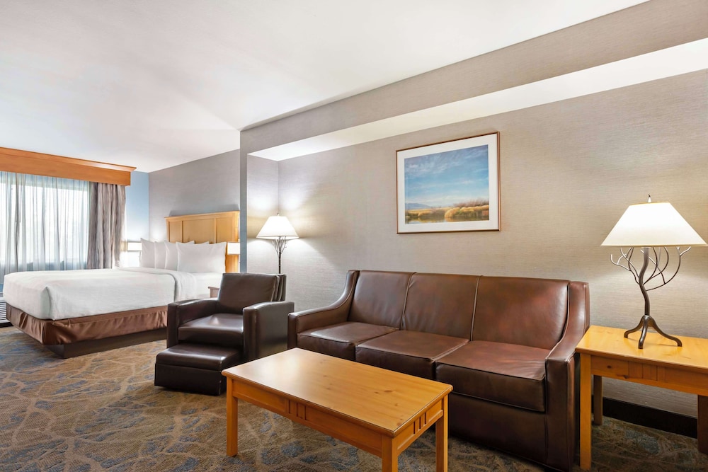 Standard Room, 1 King Bed, Non Smoking, Refrigerator & Microwave (Oversized Room) - Photo 3