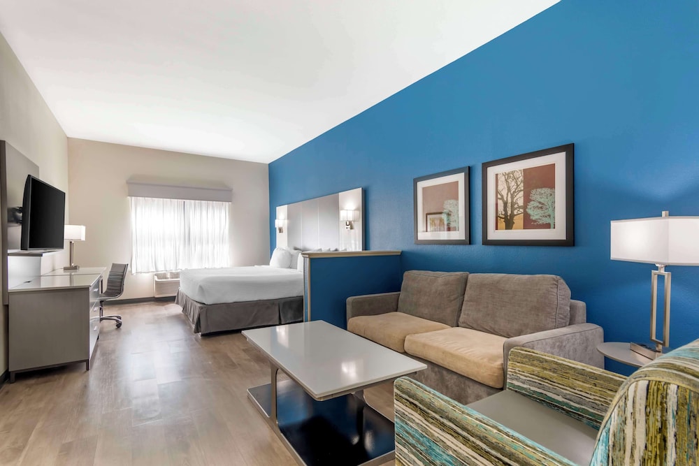 Standard Room, 1 King Bed, Non Smoking, Refrigerator & Microwave (with Sofabed) - Photo 1