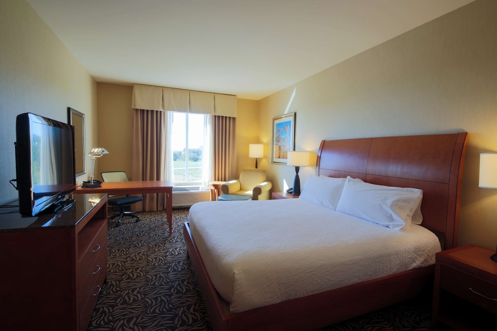 Room, 1 King Bed, Non Smoking photo 3