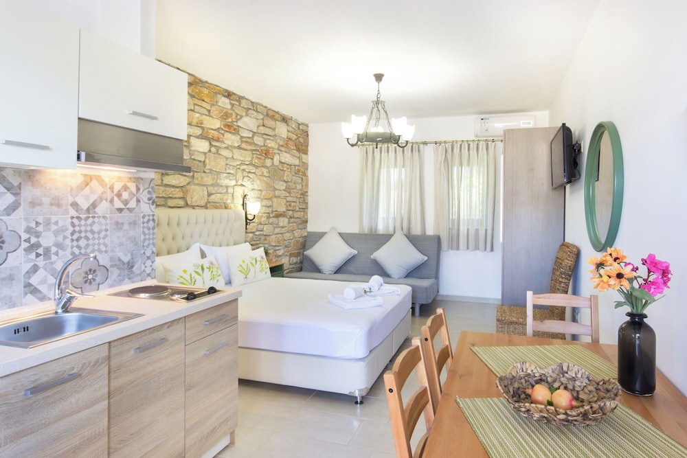 Luxury Studio Suite, 1 Queen Bed with Sofa bed, Garden View photo 3