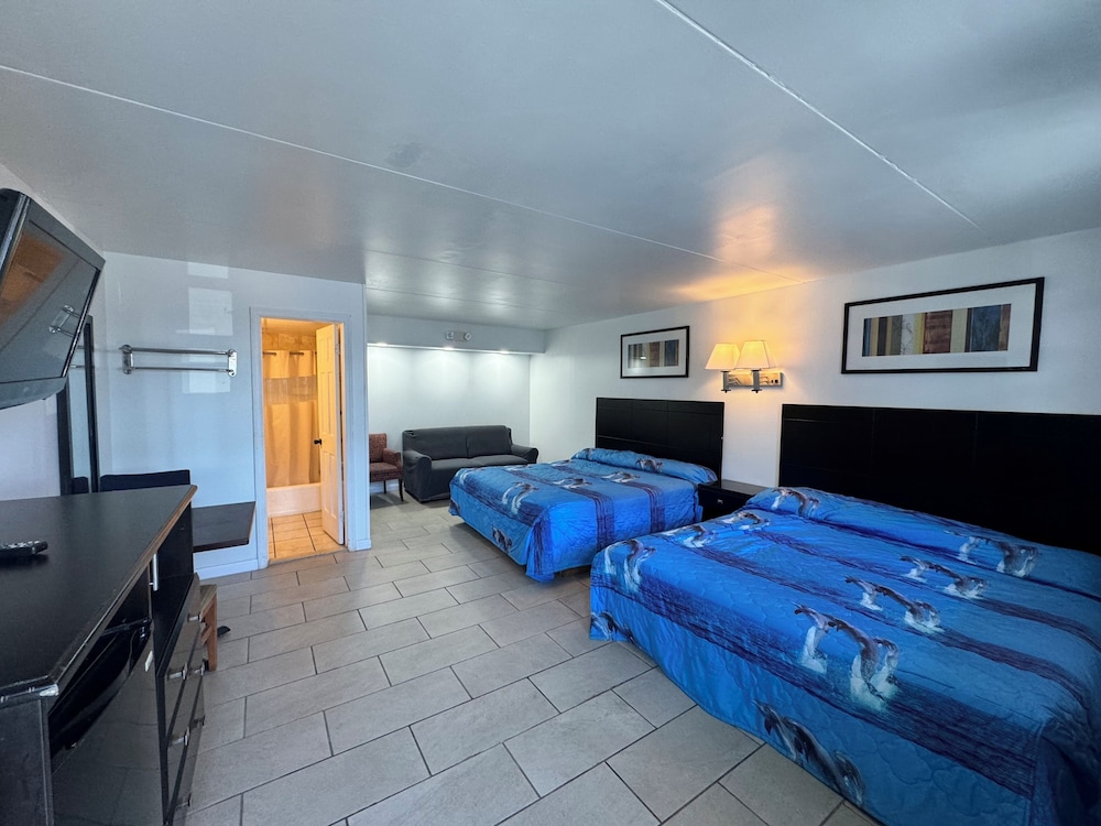 Suite - Photo 1