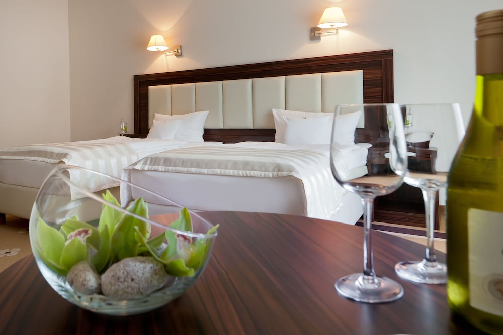 Premium Single Room photo 3
