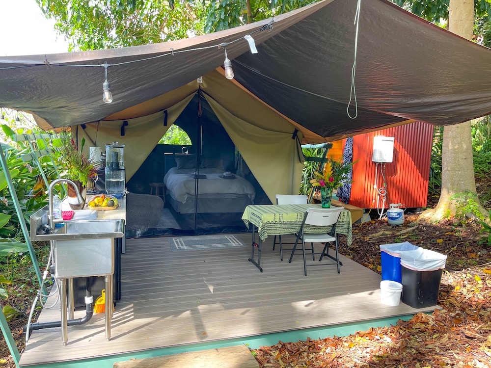 Jungle Canopy photo 2