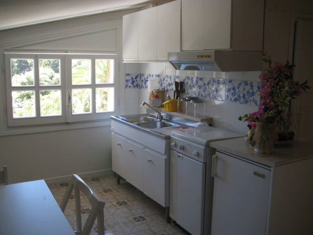 Basic Studio, Garden Area photo 3