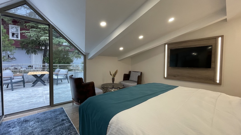 Executive Room with Terrace photo 2