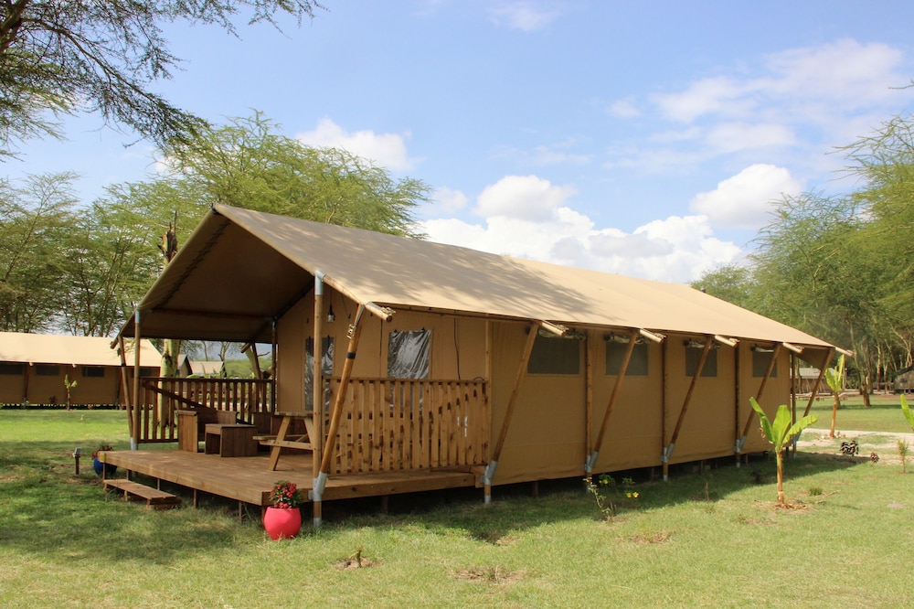 Safari Luxury Tent 1-4pax photo 1