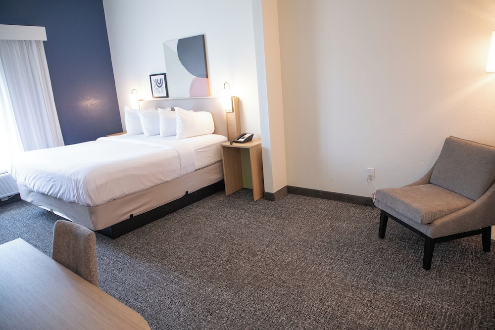 Room, 1 King Bed, Accessible (Mobility & Hearing, Roll-in Shower) - Photo 2