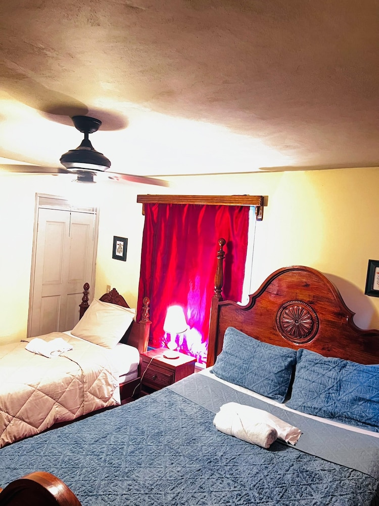Deluxe Double or Twin Room photo 3
