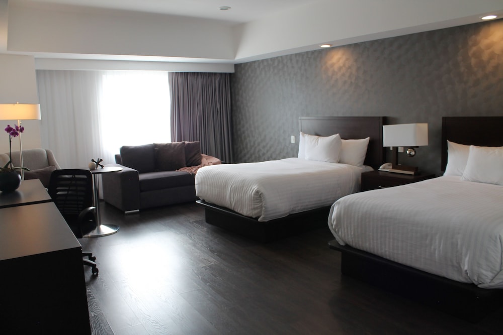 Executive Suite, 2 Double Beds (2 camas matrimoniales) - Photo 8