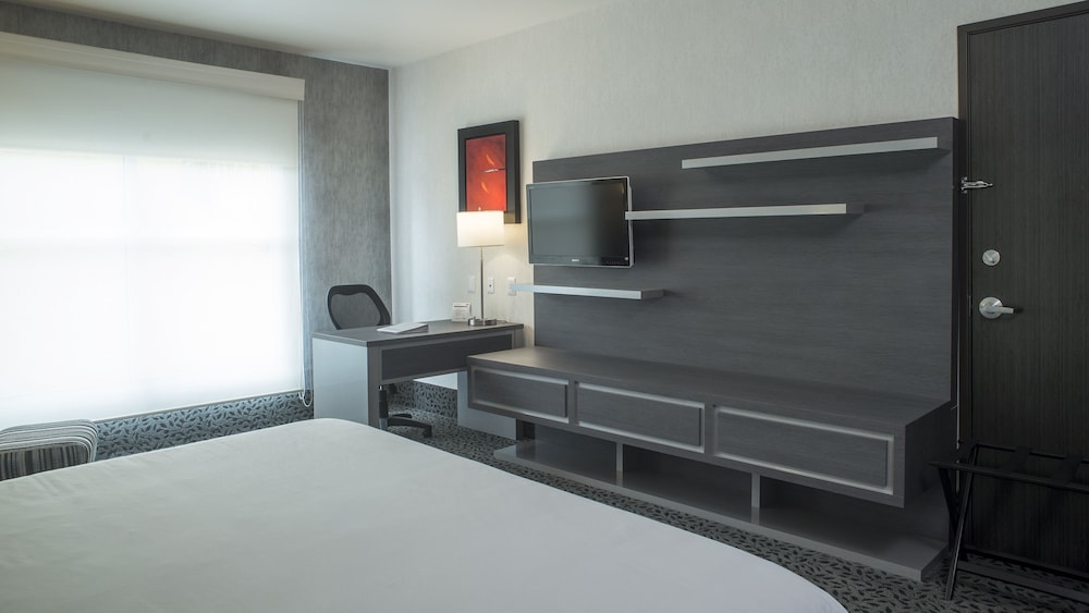Standard Room, 1 King Bed, Accessible (Roll-In Shower) photo 1