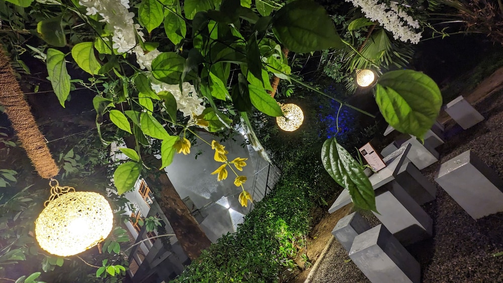 Soul Cabana - Photo 10