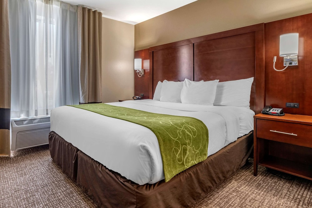 Suite, 1 King Bed with Sofa bed, Accessible, Non Smoking photo 2