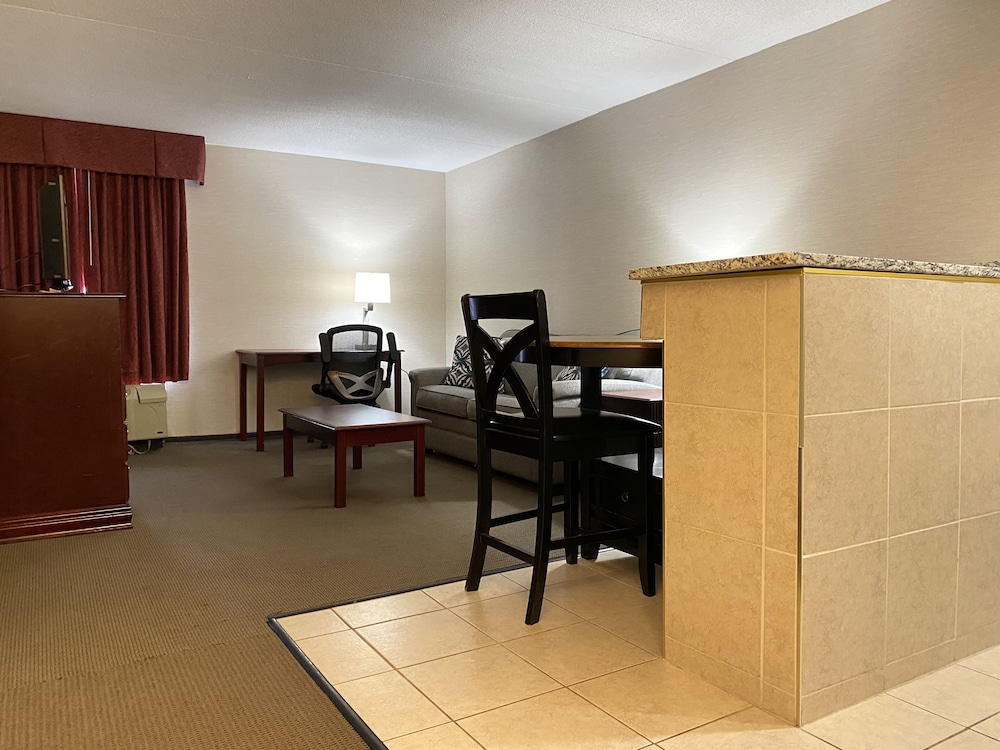 Suite, 1 King Bed with Sofa bed, Non Smoking (Efficiency) - Photo 16