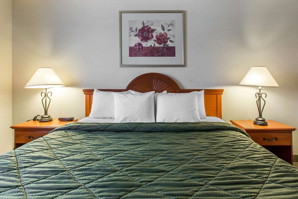 Standard Room, 1 King Bed, Non Smoking, Refrigerator - Photo 5