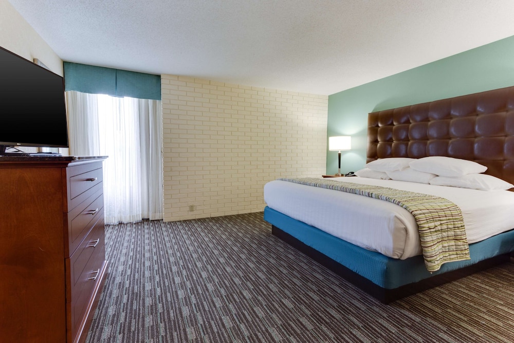 Suite, 1 King Bed with Sofa bed, Refrigerator & Microwave (Oversized) photo 3