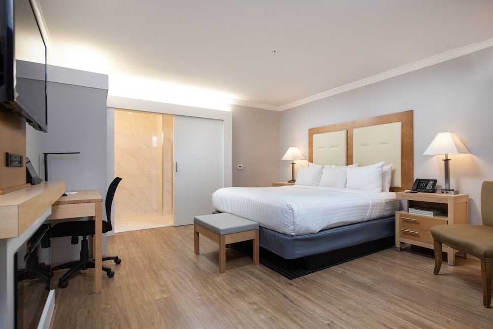 Deluxe Single Room, 1 King Bed, Accessible - Photo 1