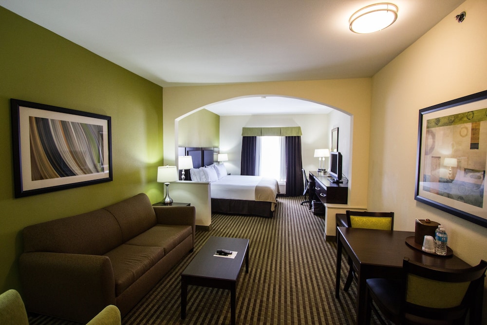 Suite, 1 King Bed with Sofa bed - Photo 2