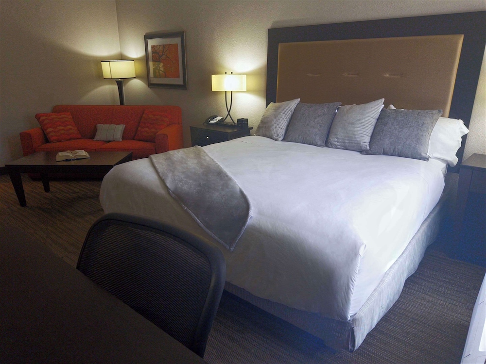 Standard Room, 1 King Bed with Sofa bed, Non Smoking photo 1