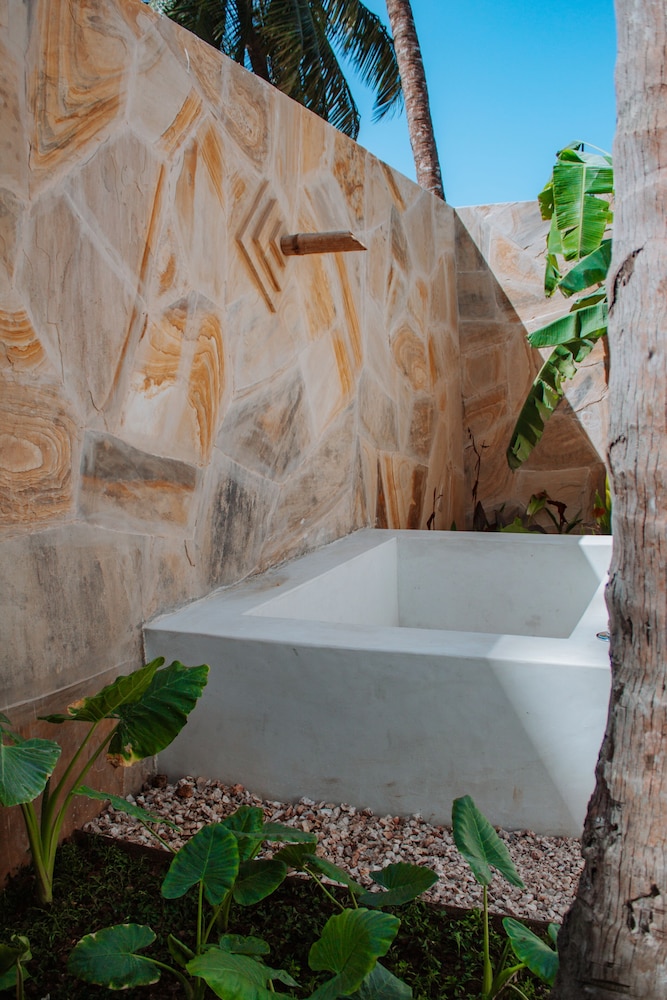 Jungle Suite