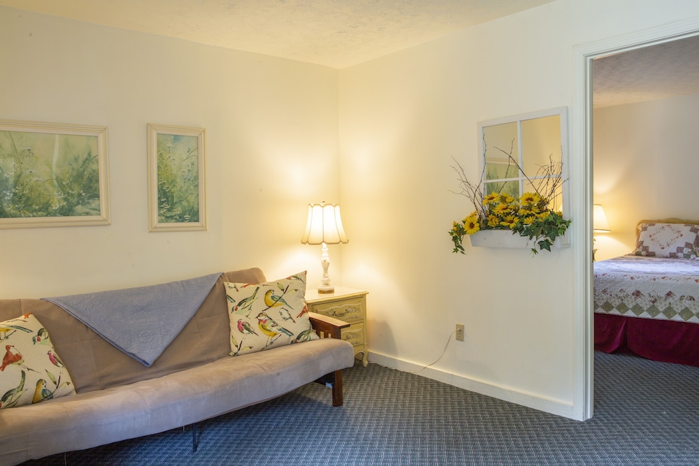 Riverside Family Apartment, 1 Queen Bed, River View photo 3