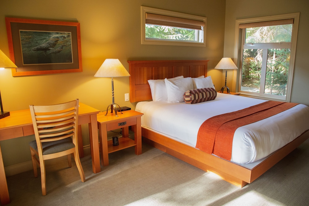 Standard Room, 1 King Bed, Garden View photo 1