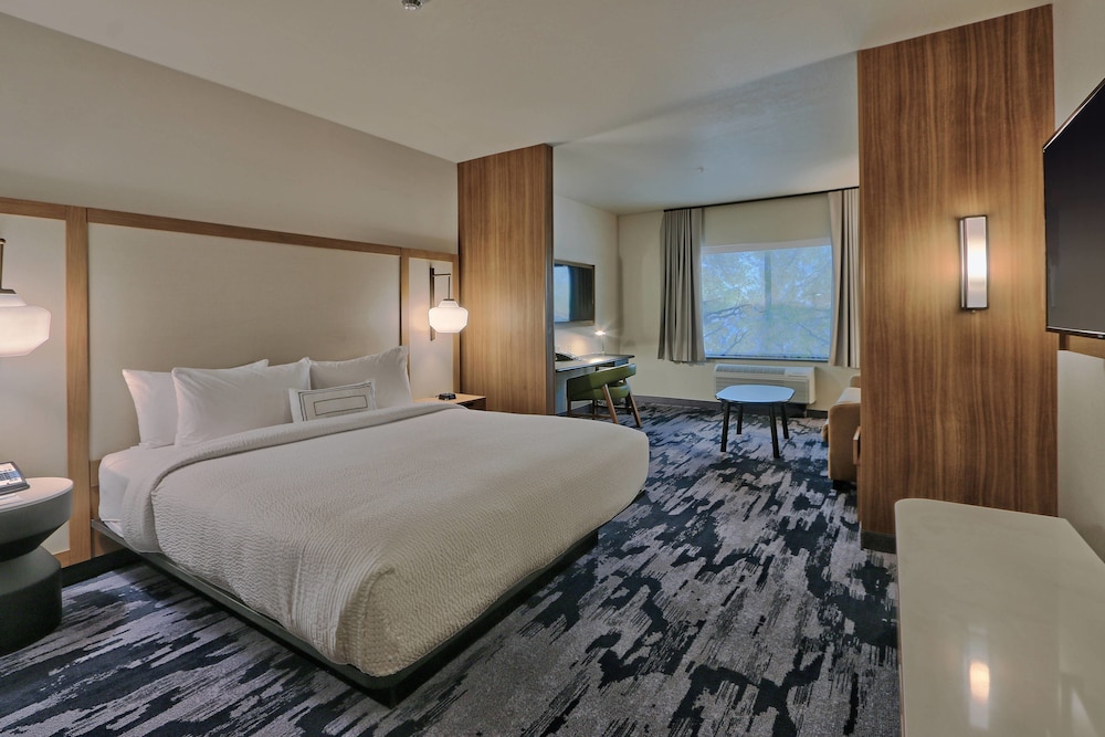 Suite, 1 King Bed photo 3