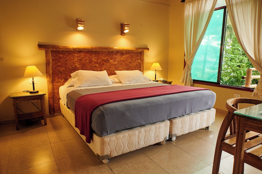 Traditional Room, 1 King Bed photo 1