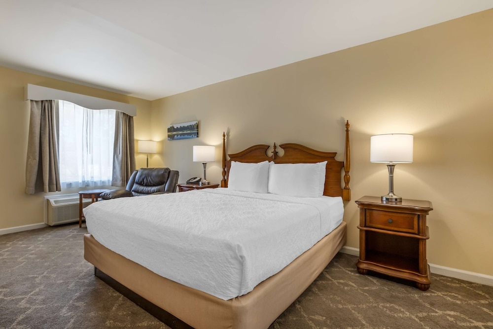 Standard Room, 1 King Bed, Accessible, Bathtub photo 1