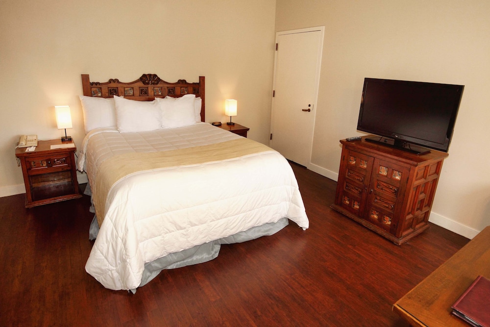 Traditional King Room - Photo 6