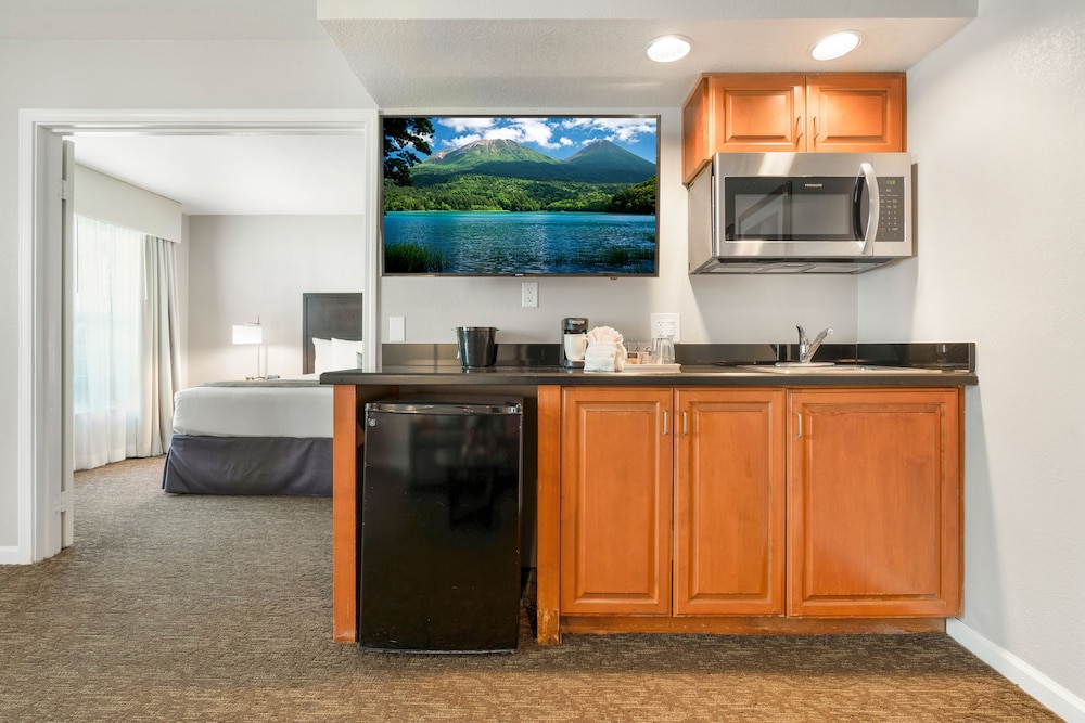 Standard Studio Suite, 1 Bedroom photo 2