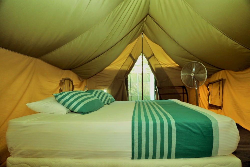 Tent, Accessible, Garden View photo 2