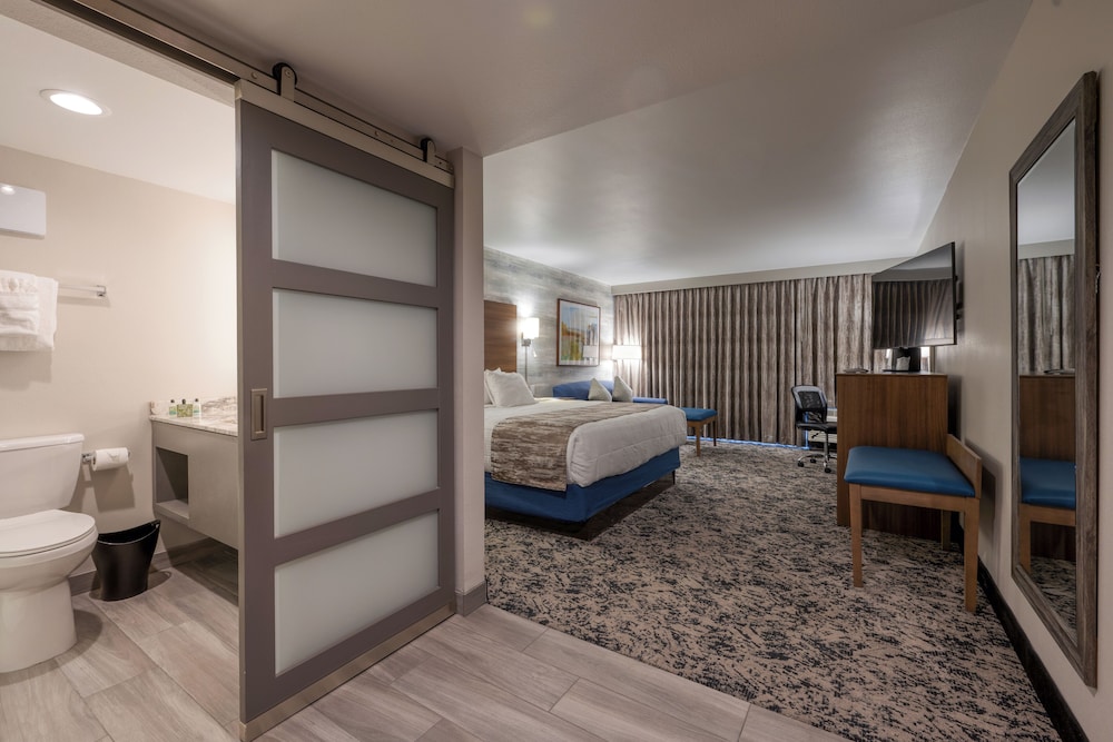 Premium Room, 1 King Bed photo 1
