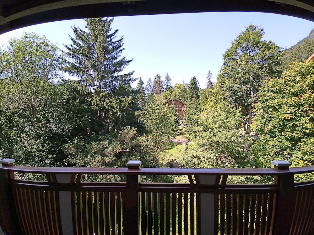 Classic Double or Twin Room (forest view) photo 3