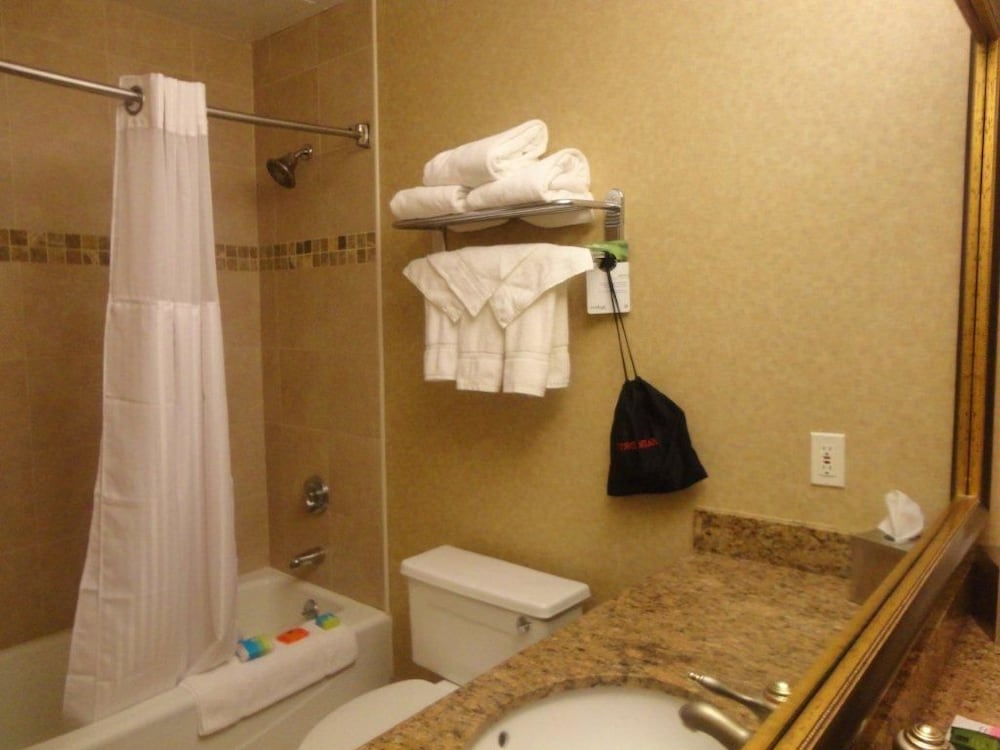 Room, 1 King Bed, Accessible (Hearing) - Photo 3
