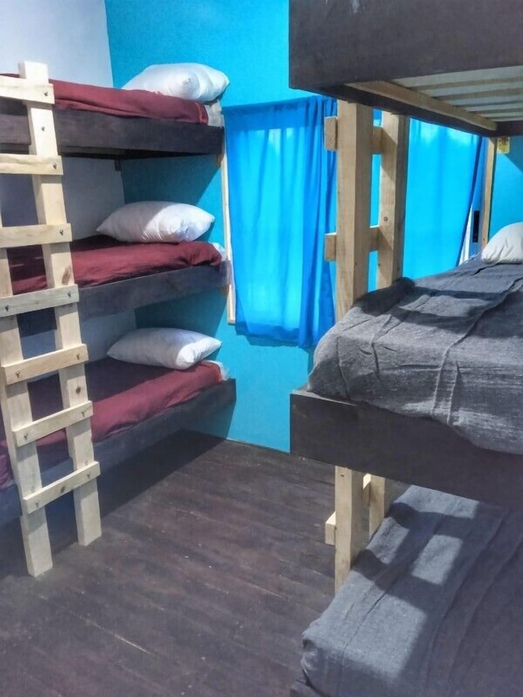 Shared Dormitory photo 1