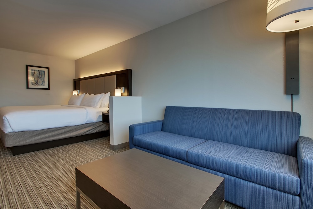 Suite, 1 Bedroom photo 3