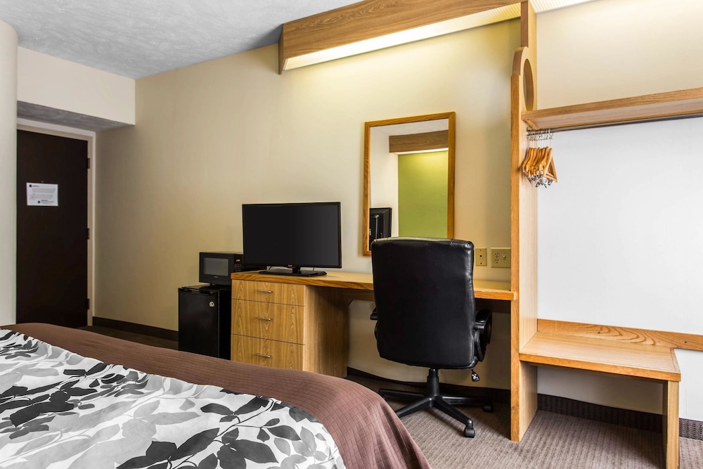 Room, 1 Queen Bed, Accessible, Non Smoking - Photo 5