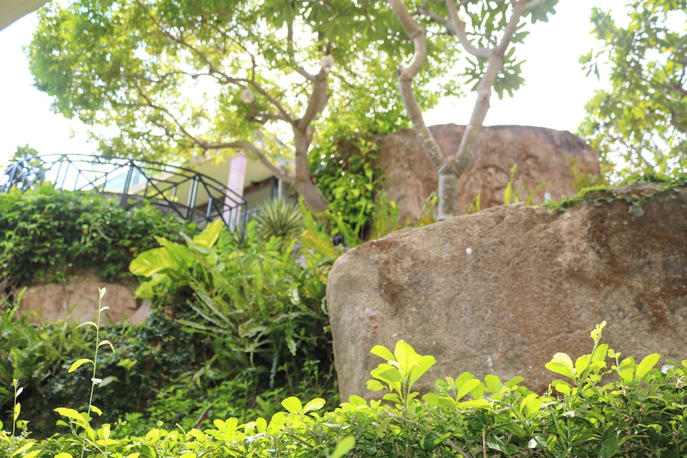 Bungalow with Garden View - Photo 9