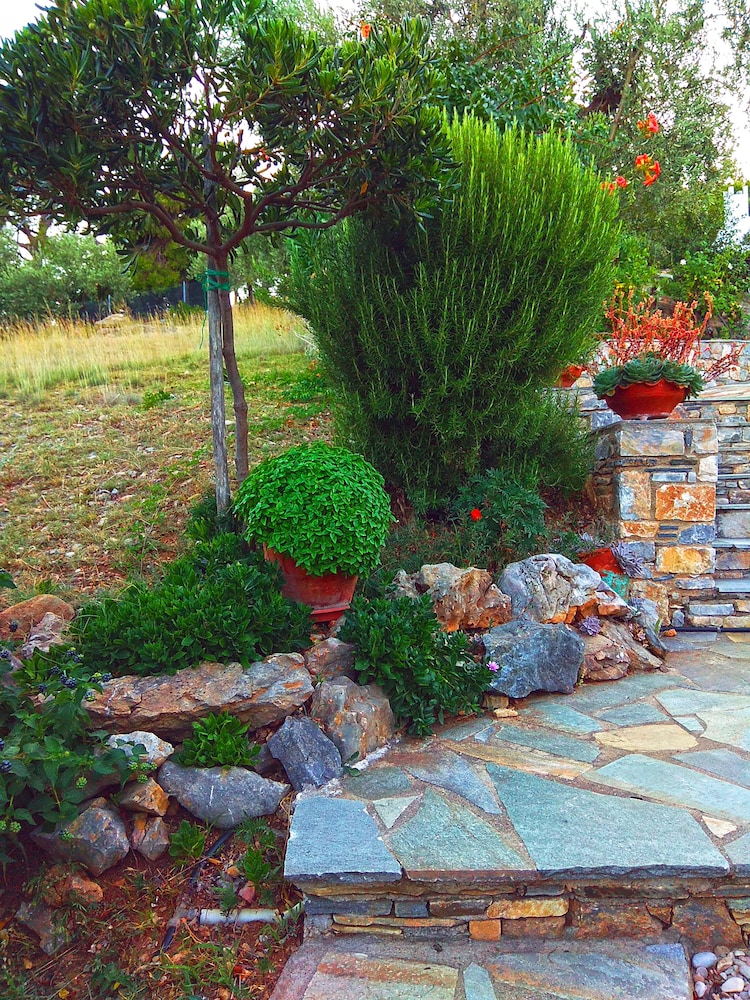 Basic House (Aloe II) photo 2