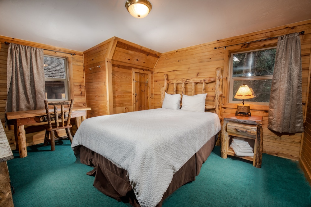 Basic Shared Dormitory photo 2