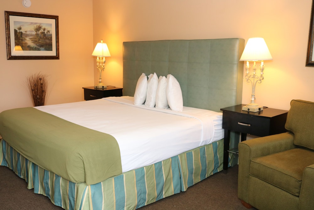 One King Bed, Non-Smoking photo 3