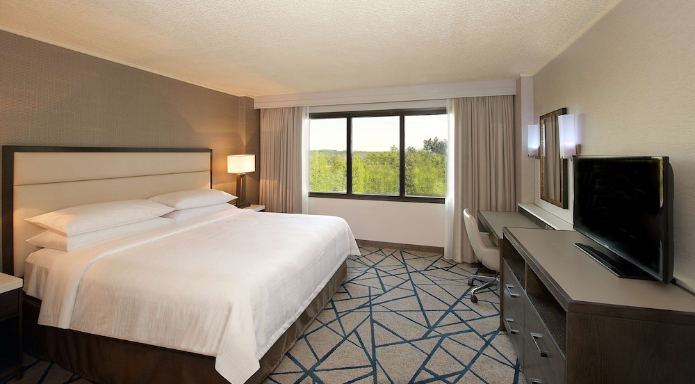 Room, 1 King Bed, Non Smoking - Photo 1