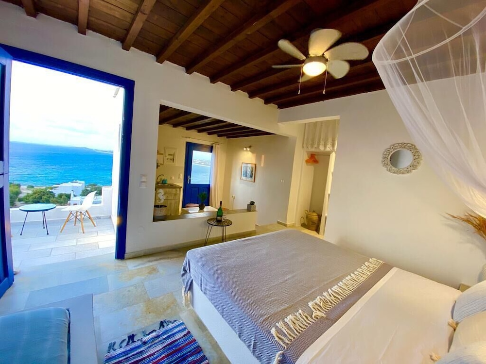 Panoramic Studio Suite
