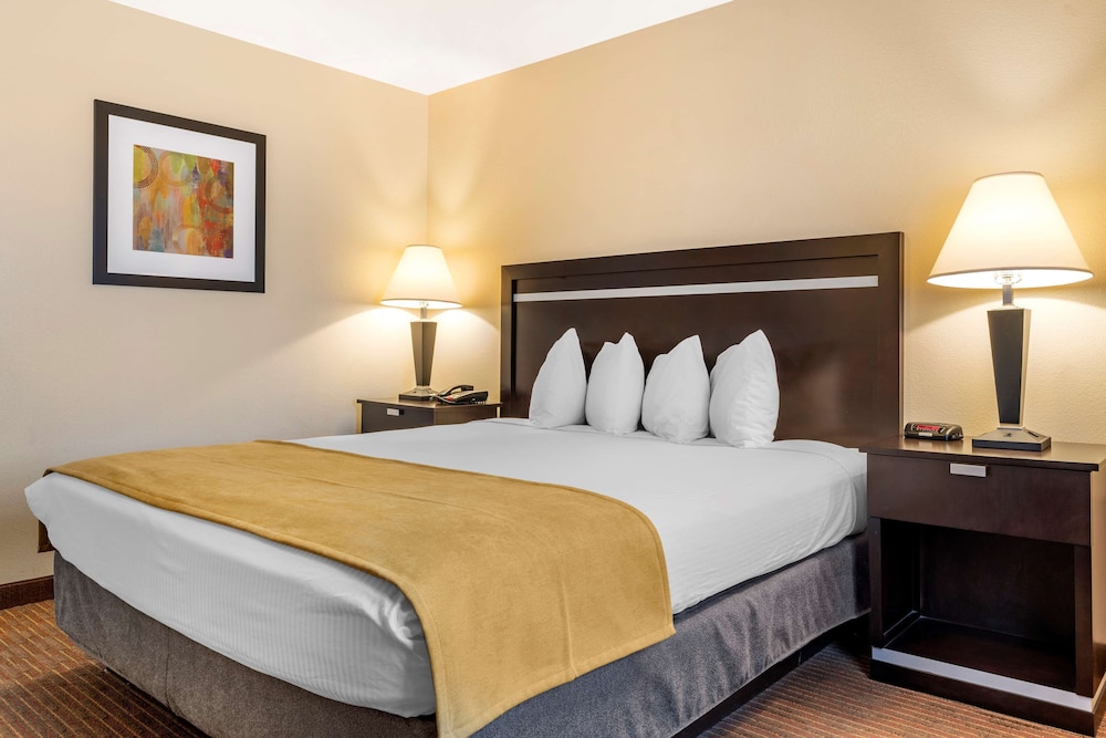 Standard Room, 1 King Bed, Non Smoking, Refrigerator - Photo 3