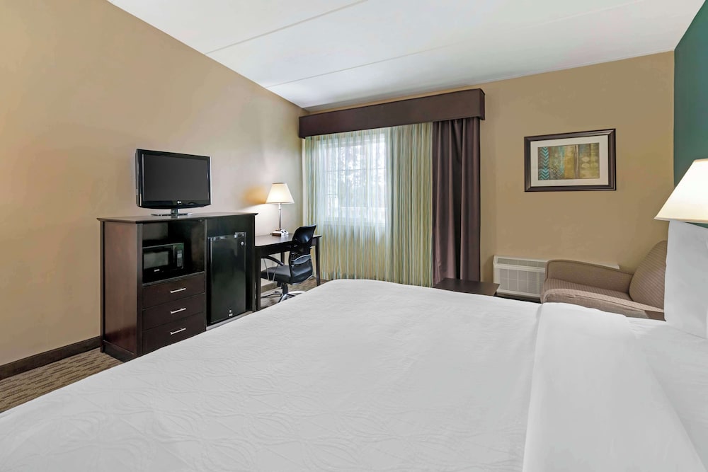 Standard Single Room, 1 King Bed With Sofa Bed, Non Smoking, Refrigerator & Microwave (With Sofabed) - Photo 3